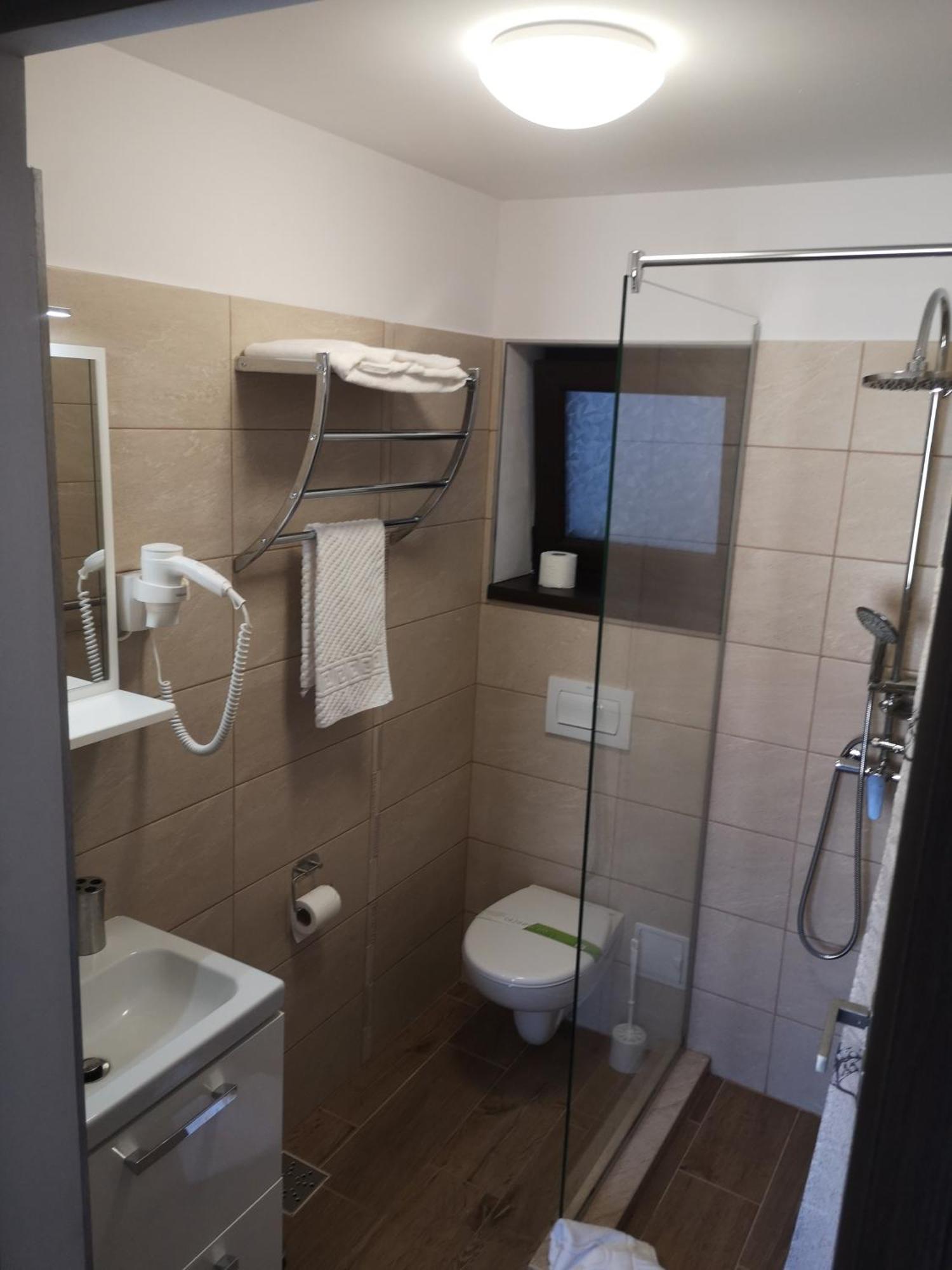 Aterman Apartment'S Sinca Veche Værelse billede